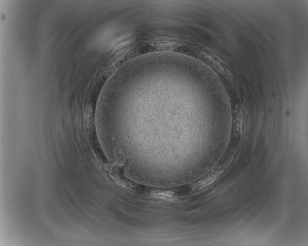 X0000086230283200703291337