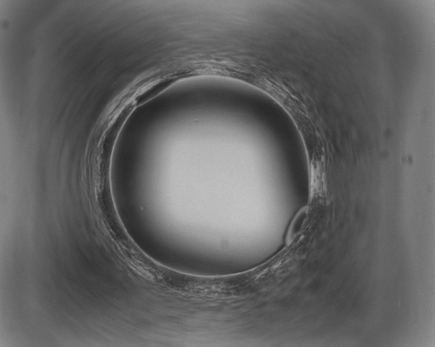 X0000086230291200703291337