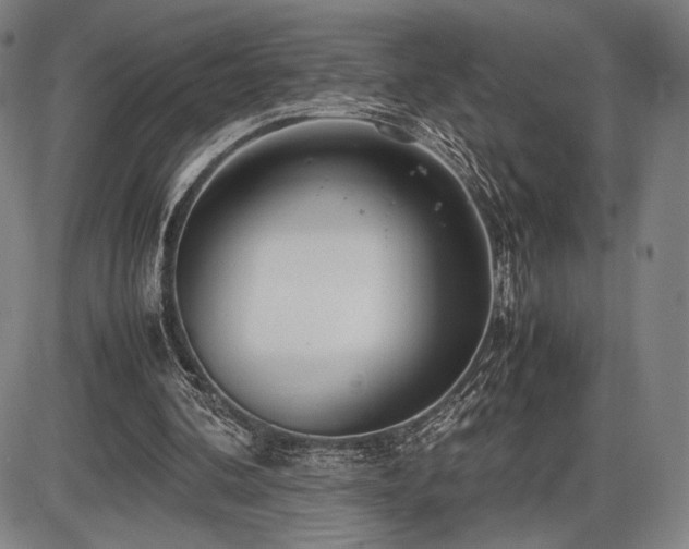 X0000086230292200703291337