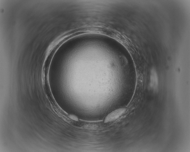 X0000086230294200703291336