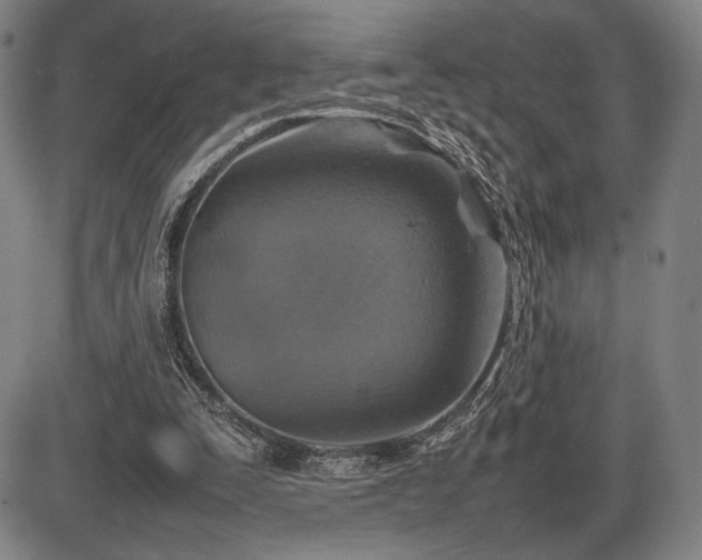X0000086230295200703291336