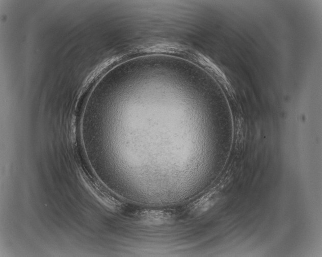 X0000086230298200703291336