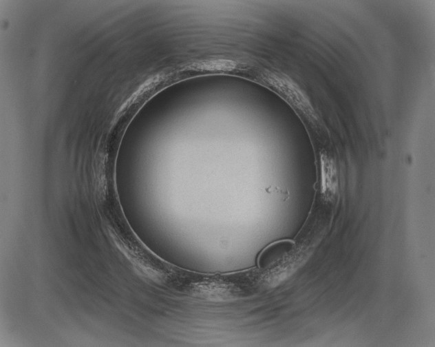 X0000086230300200703291336