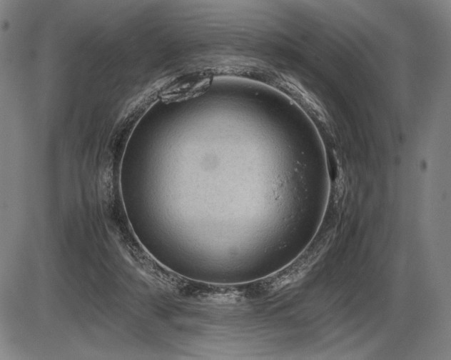 X0000086230306200703291336