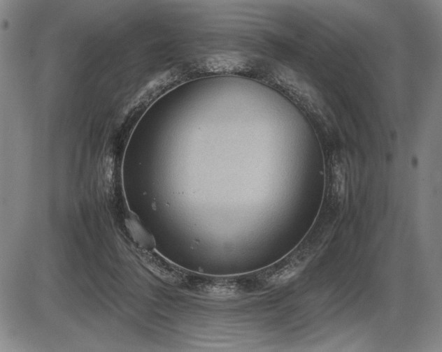 X0000086230308200703291336