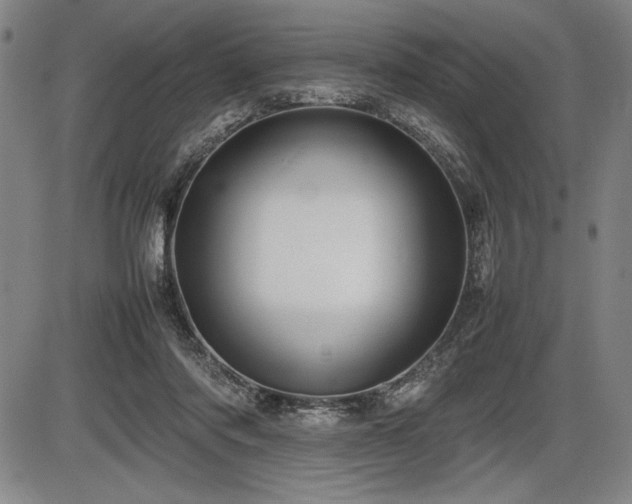 X0000086230310200703291336