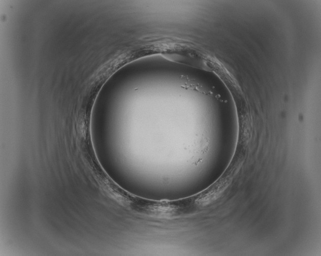 X0000086230313200703291336