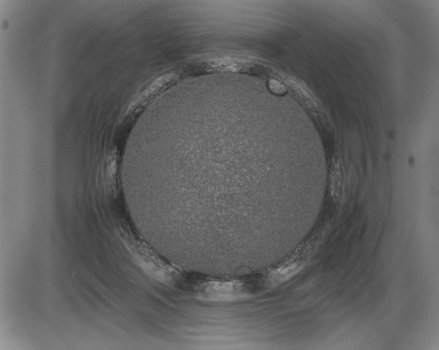X0000086230314200703291336