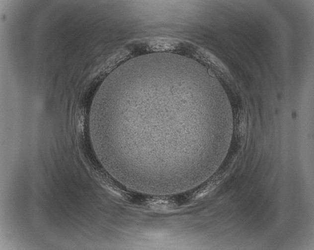 X0000086230315200703291336