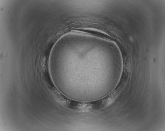 X0000086230319200703291336