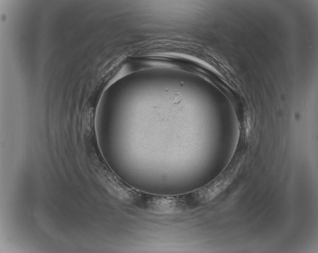 X0000086230325200703291336