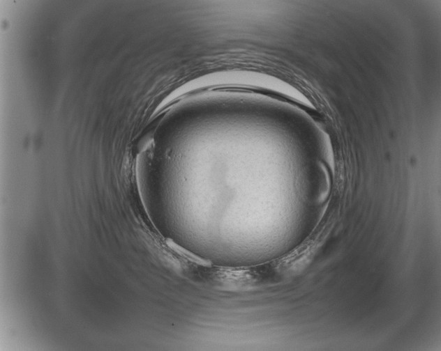 X0000086230333200703291336