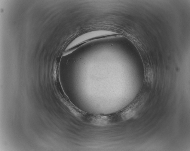 X0000086230334200703291336