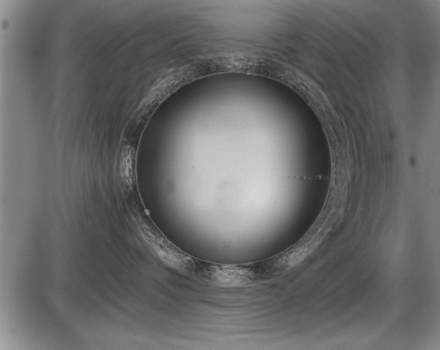 X0000086230336200703291336