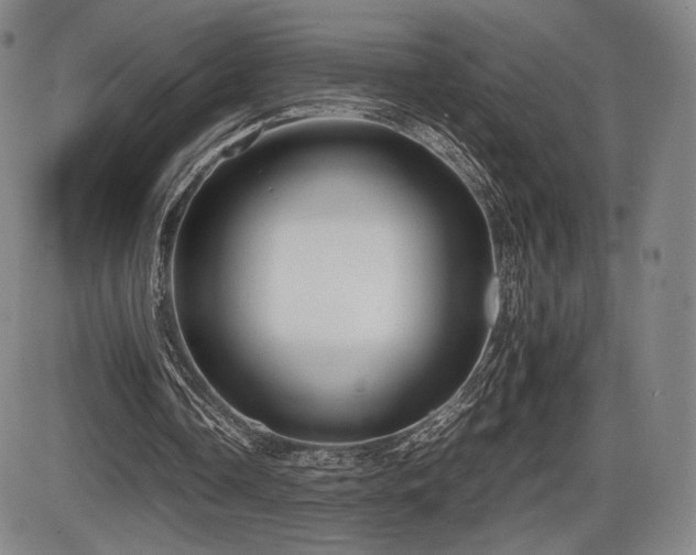 X0000086230338200703291335