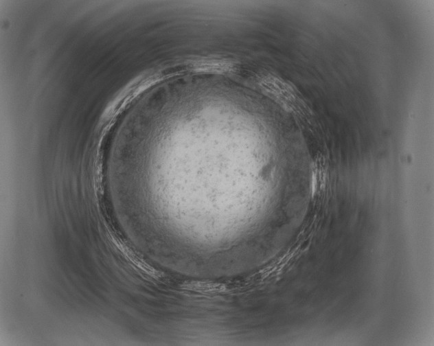 X0000086230339200703291335