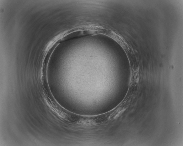X0000086230340200703291335