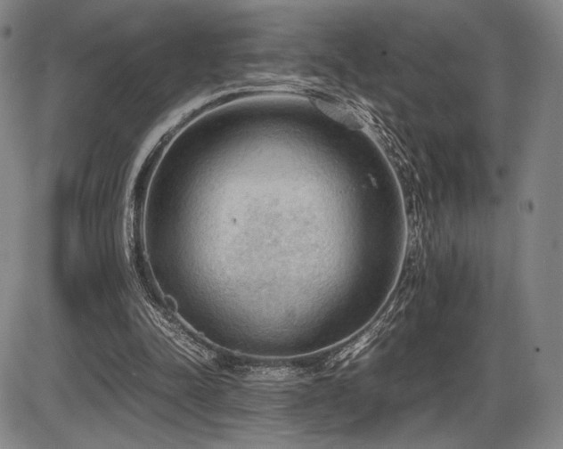 X0000086230342200703291335