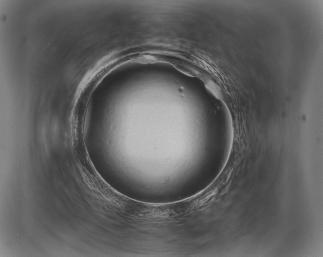 X0000086230343200703291335