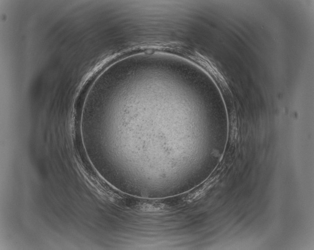 X0000086230346200703291335