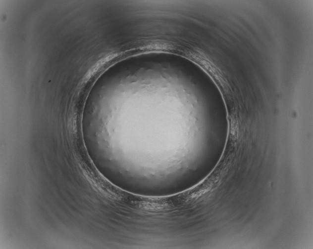 X0000086230347200703291335