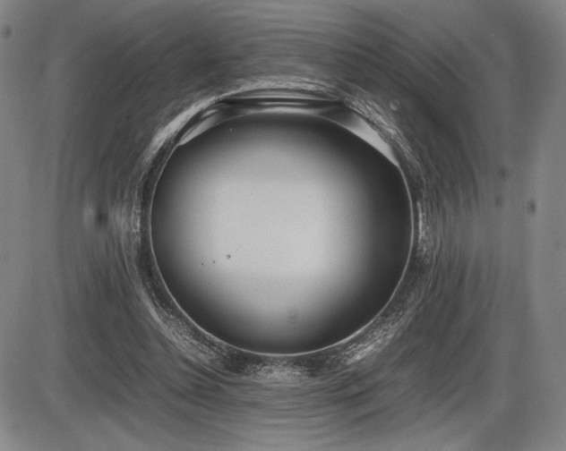 X0000086230348200703291335