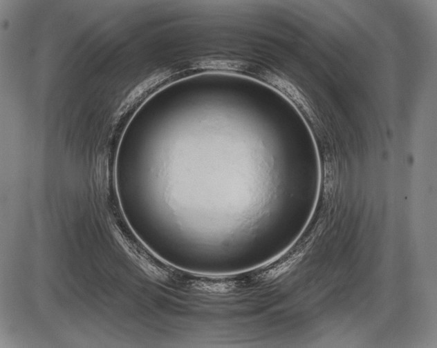 X0000086230349200703291335