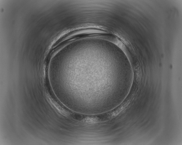 X0000086230350200703291335