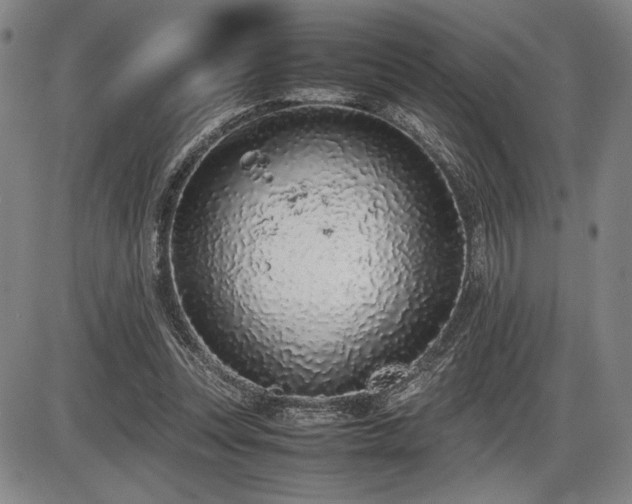 X0000086230351200703291335