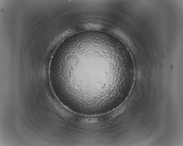 X0000086230353200703291335