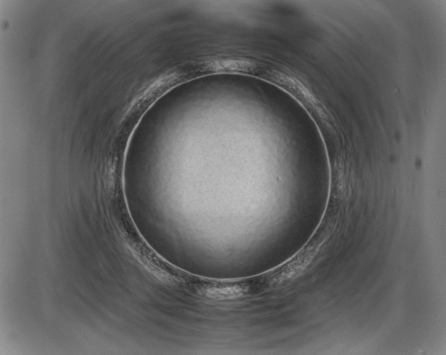 X0000086230357200703291335