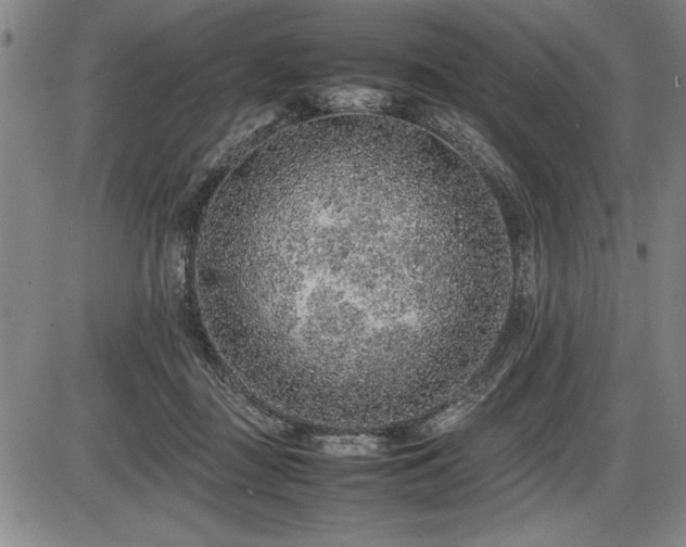 X0000086230363200703291335