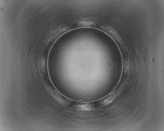 X0000086230365200703291335