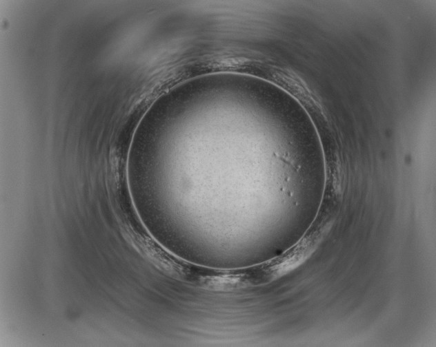 X0000086230366200703291335