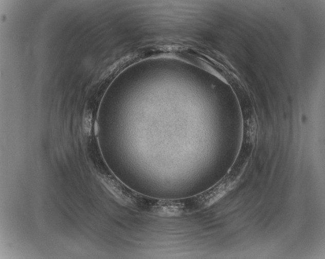X0000086230368200703291335