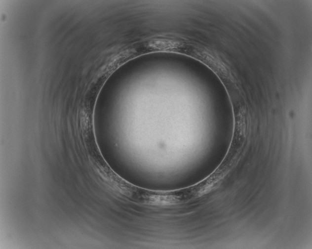 X0000086230371200703291336