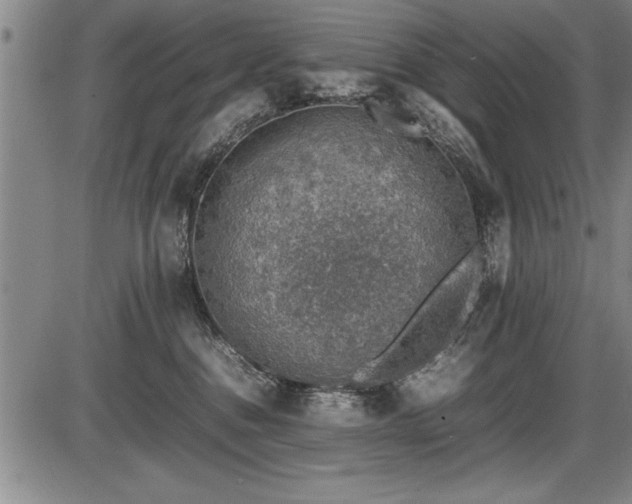 X0000086230376200703291336