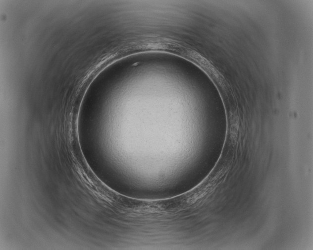 X0000086230386200703291335