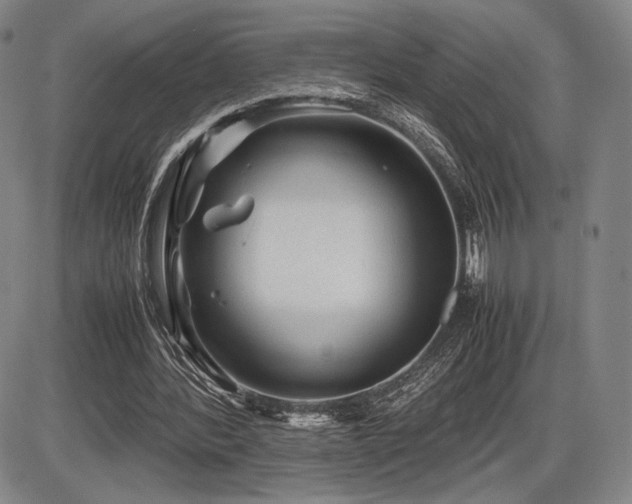 X0000086230388200703291335