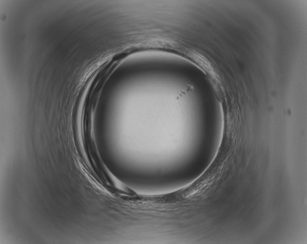 X0000086230389200703291335