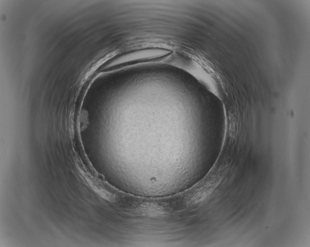 X0000086230390200703291335