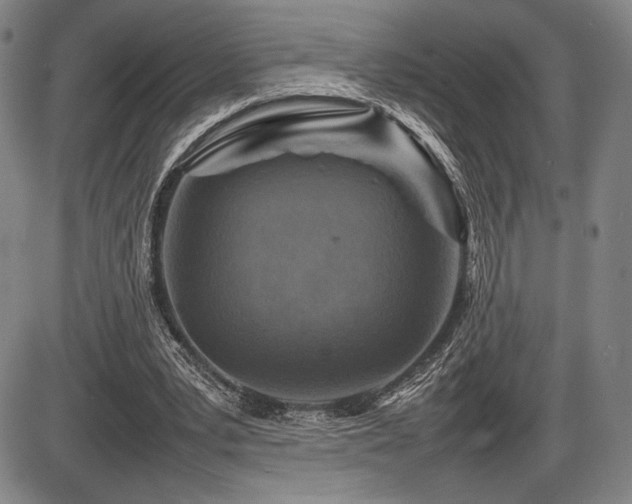 X0000086230391200703291335