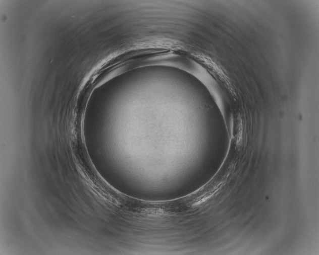 X0000086230392200703291335