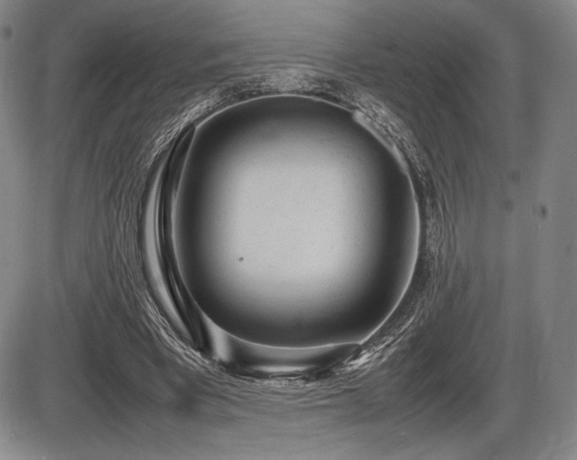 X0000086230393200703291335