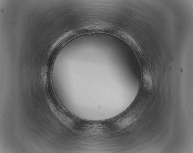 X0000086230396200703291335