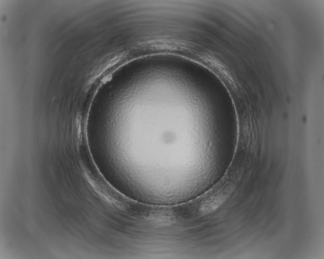 X0000086230398200703291335