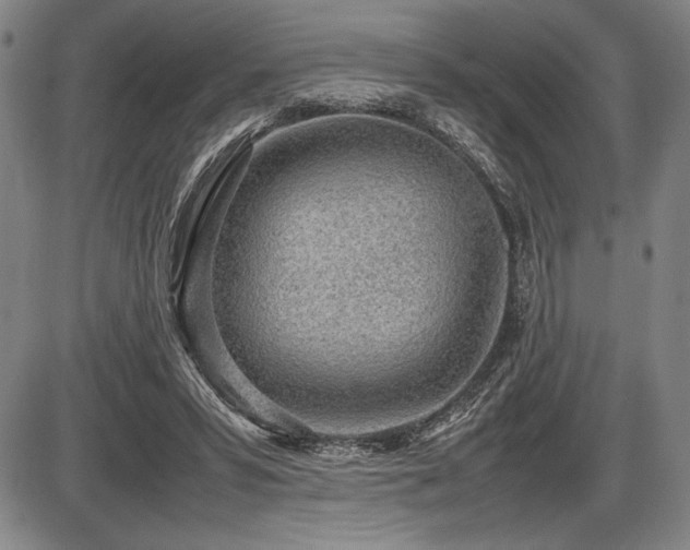 X0000086230399200703291335