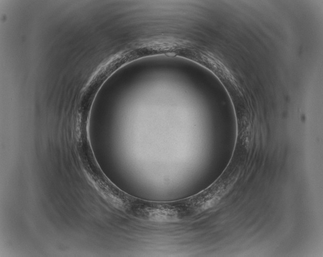 X0000086230400200703291335