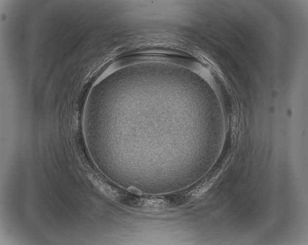 X0000086230401200703291335