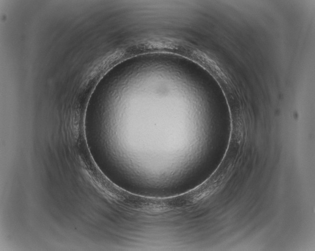 X0000086230402200703291335